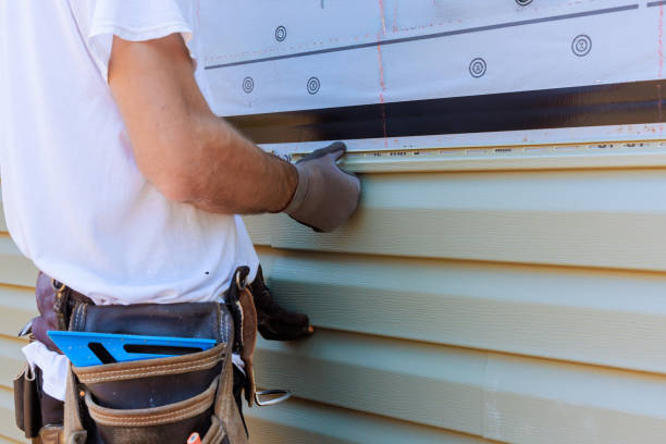Best Custom Trim and Detailing for Siding  in Iron River, MI