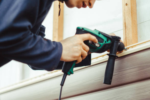 Best Historical Building Siding Restoration  in Iron River, MI
